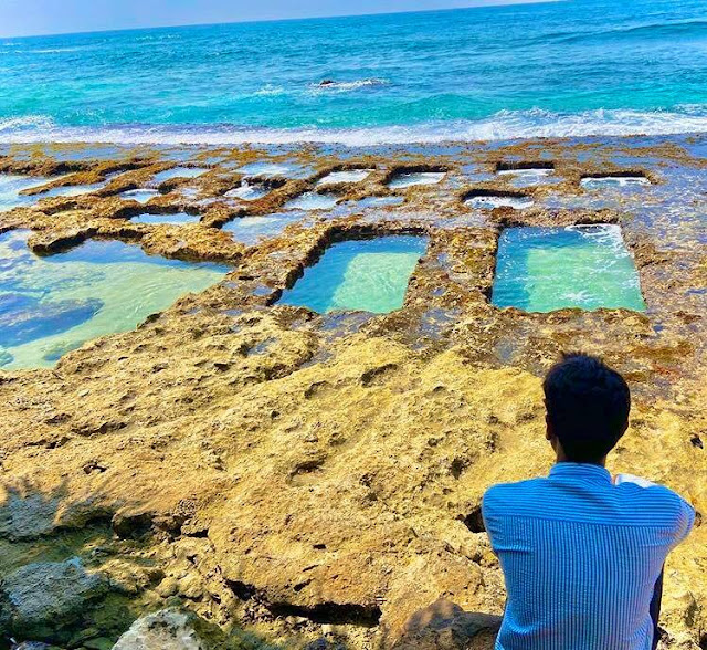 පොල්ලෙලි පල් කරපු - තල්පේ තටාක 🌴🥥🌊🏊🏻‍♂️ (The rock pools in Thalpe) - Your Choice Way