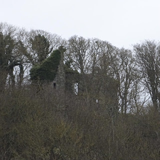 A picture of Auldhame Castle almost hidden amongst the trees on the hill on which it was built.  Photo by Kevin Nosferatu for the Skulferatu Project.