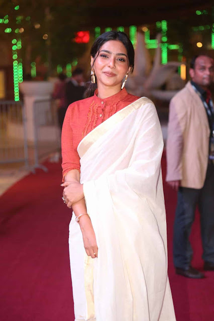 Tamil Actress Satna Titus Latest Images In Saree 7