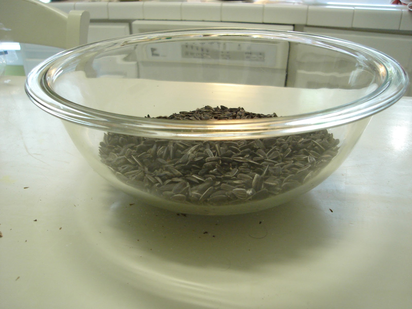 THE DARKROOM How To Make Your Own Sunflower Seeds