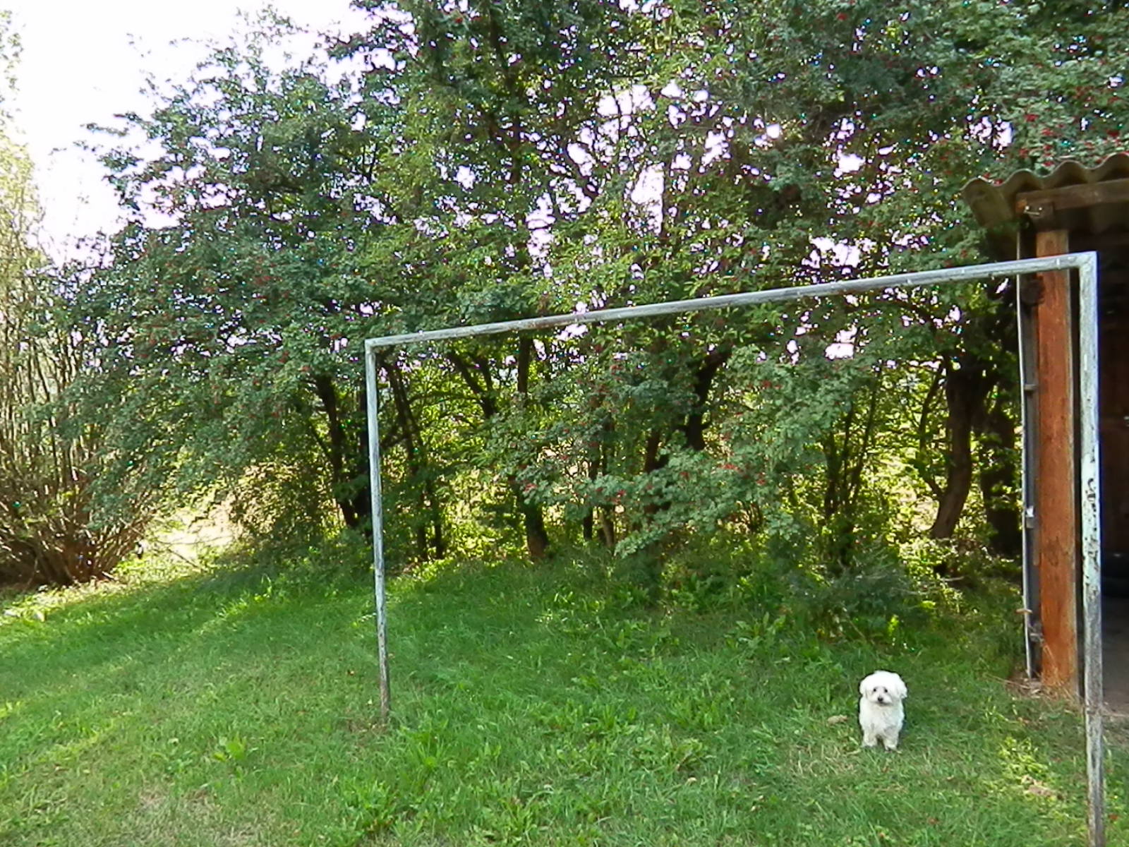 Rosch's BWETrainingsblog Training ohne Geräte = Training ohne Gerede