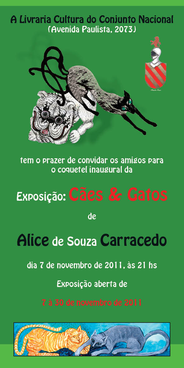 boomerang school bolsas pna