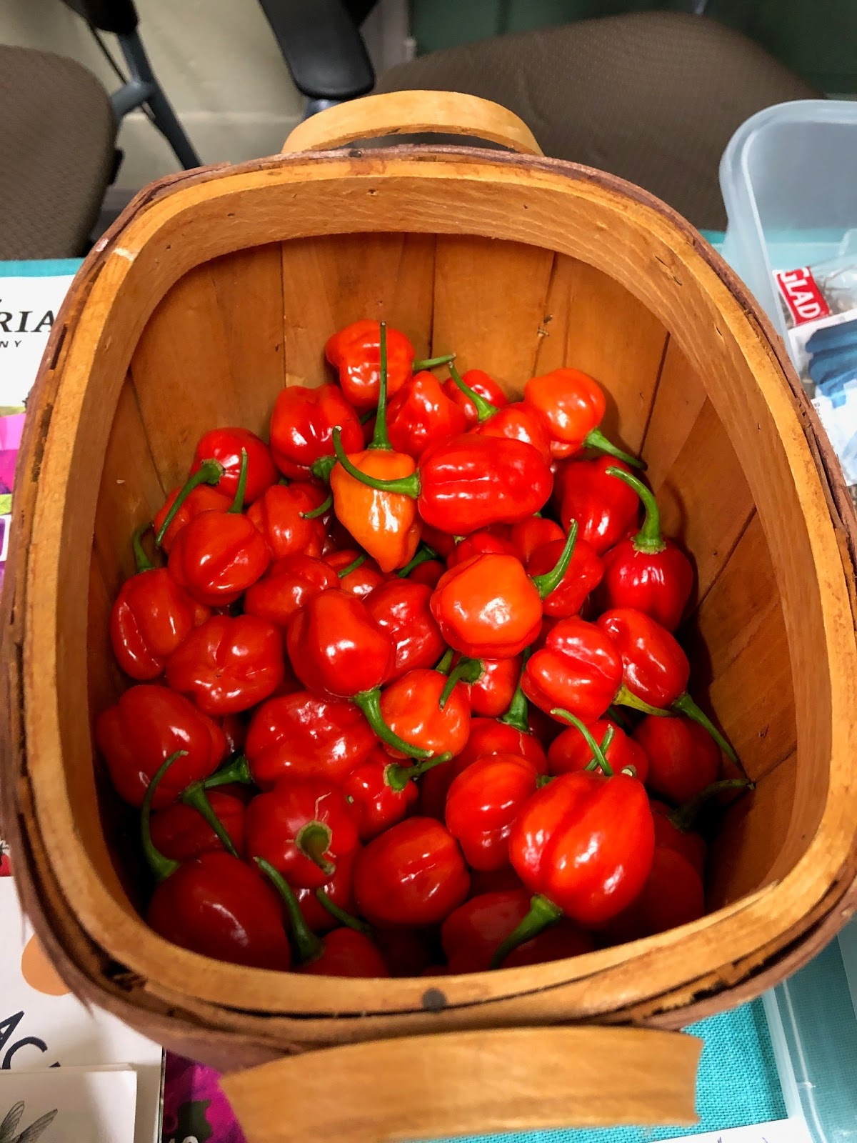 VegHeadz Aji Dulce Peppers