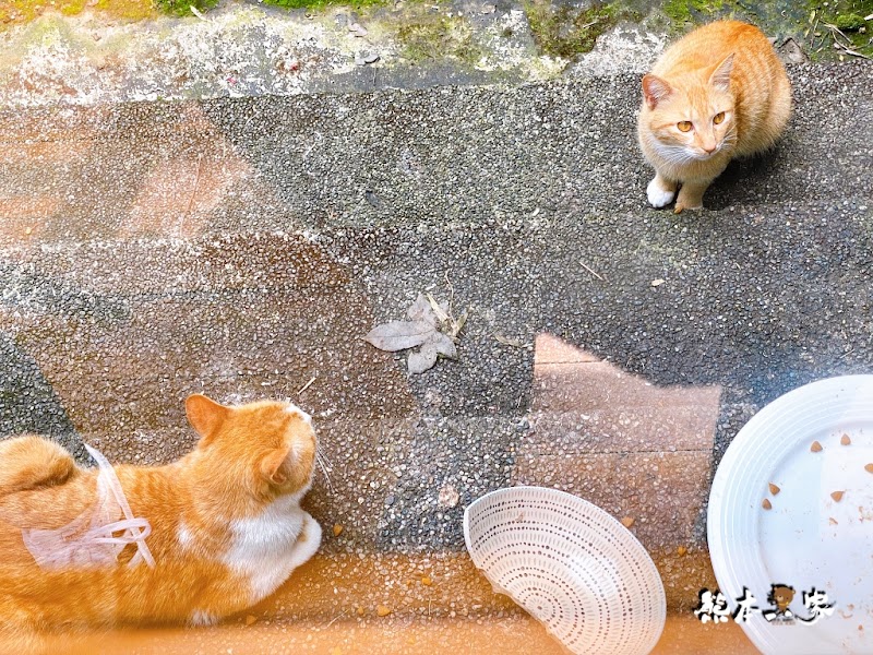 草山行館景觀餐廳、晚宴包場、下午茶總統官邸用餐