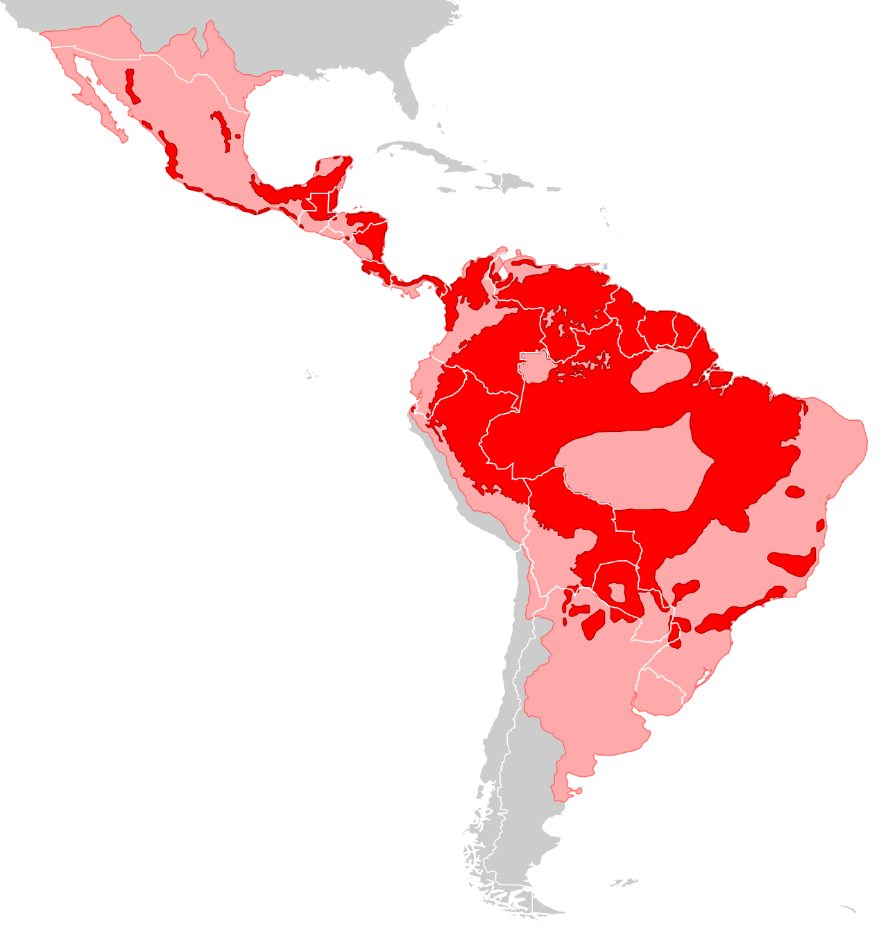 El jaguar el emperador de las Américas