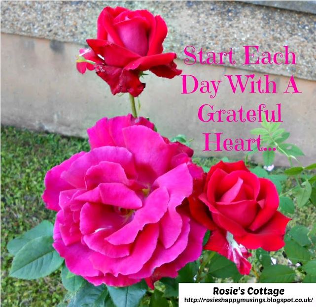 Rosie's Cottage: Rosie's Favourite Quotes