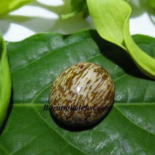 mustika landak putih asli, harga mustika landak, khasiat mustika landak, fungsi bulu landak, khasiat batu landak asli, kegunaan mustika landak, bulu landak untuk ibu hamil, mitos duri landak, jimat bulu landak, mustika landak, mustika lipan, batu geliga lipan asli, mustika geliga lipan, lipan tembus pandang, barang koleksi, buntat geliga lipan, mustika landak