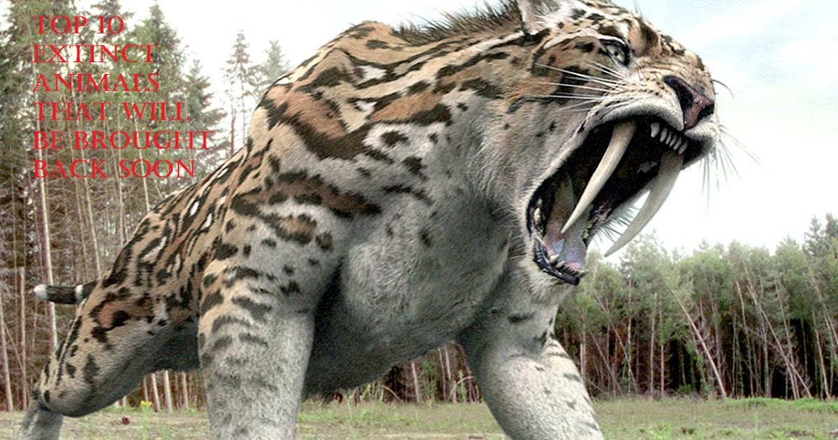 TOP 10 EXTINCT ANIMALS THAT WILL BE BROUGHT BACK