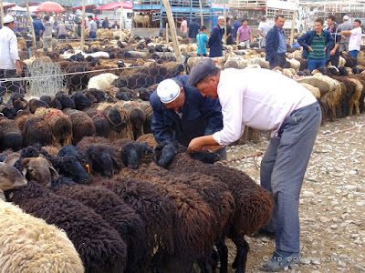 Κίνα, στο δρόμο του μεταξιού... στο παζάρι ζώων του Κασγκάρ / China, on the Silk Road