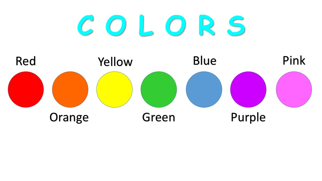 Inglés 1ros Básicos Clase 6