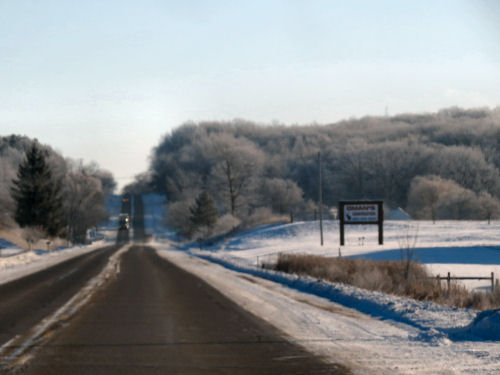 frosty trees