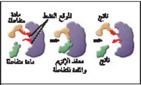 بدء الكيميائي التفاعل التي مادة التنشيط طاقة تقلل يتطلبها مادة تقلل