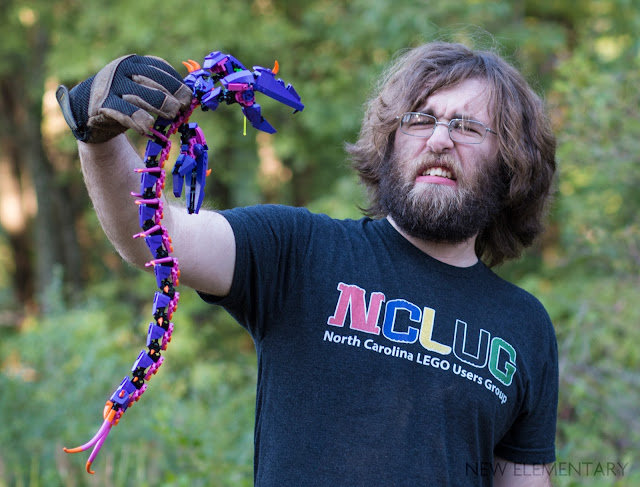 worm-discovery.jpg