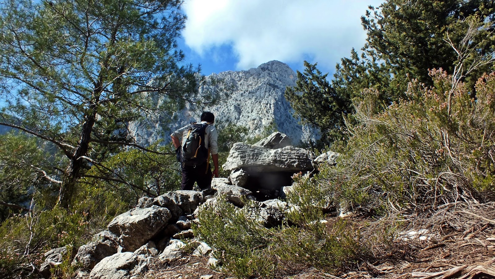 Pamukyolu Anadolu Parsi Kaplan Kapani Gedeller Orman Yuruyusu