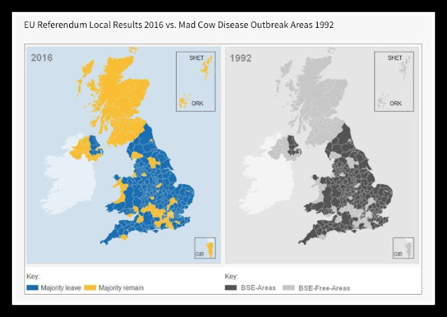 bSE+referendum.jpg