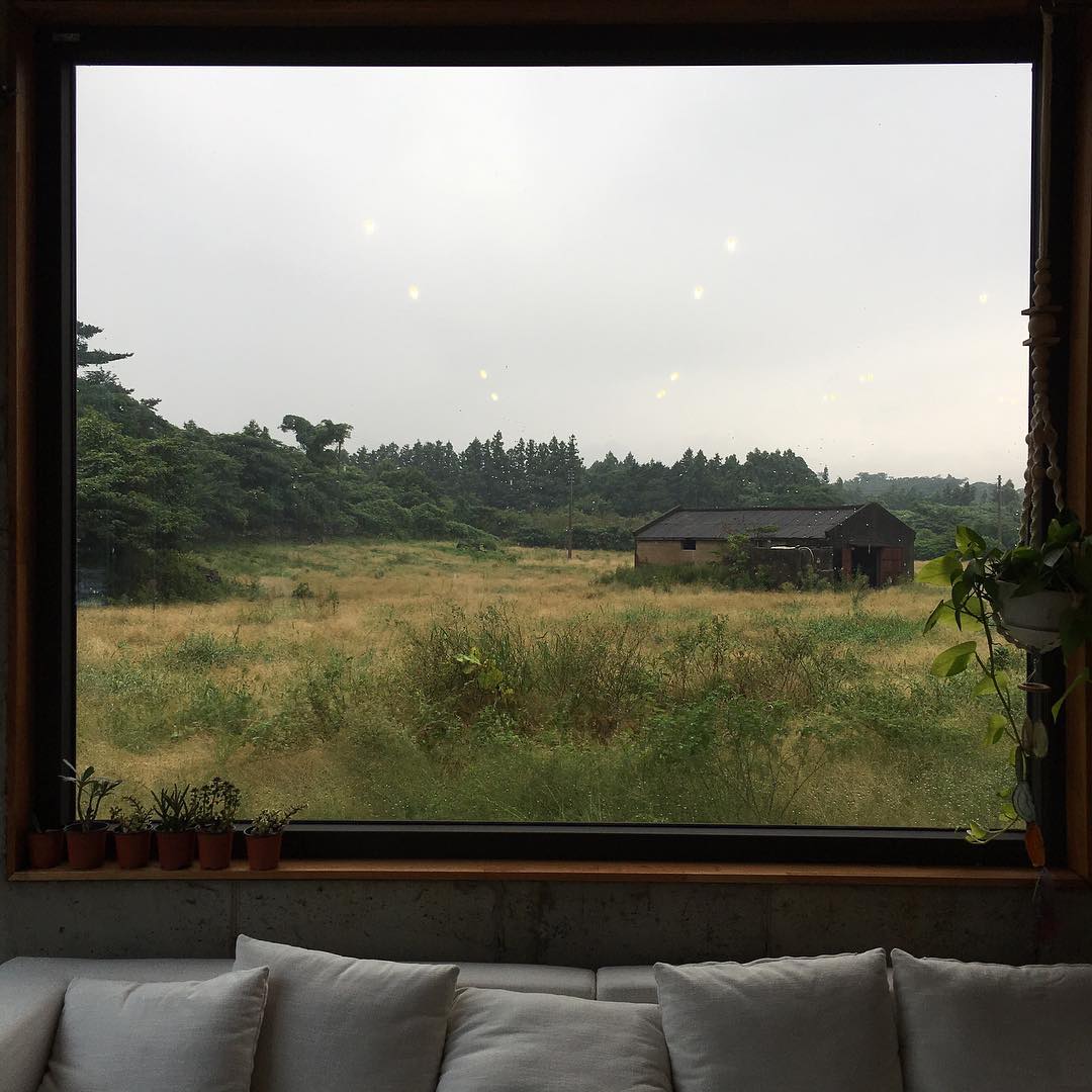 view
