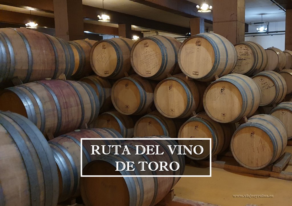 Ruta del Vino de Toro