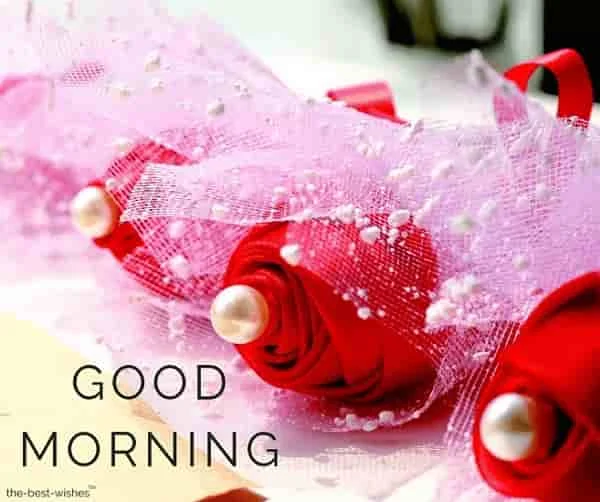 good morning images with roses