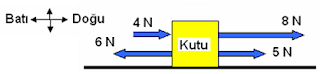 , Fen Bilimleri Nedir