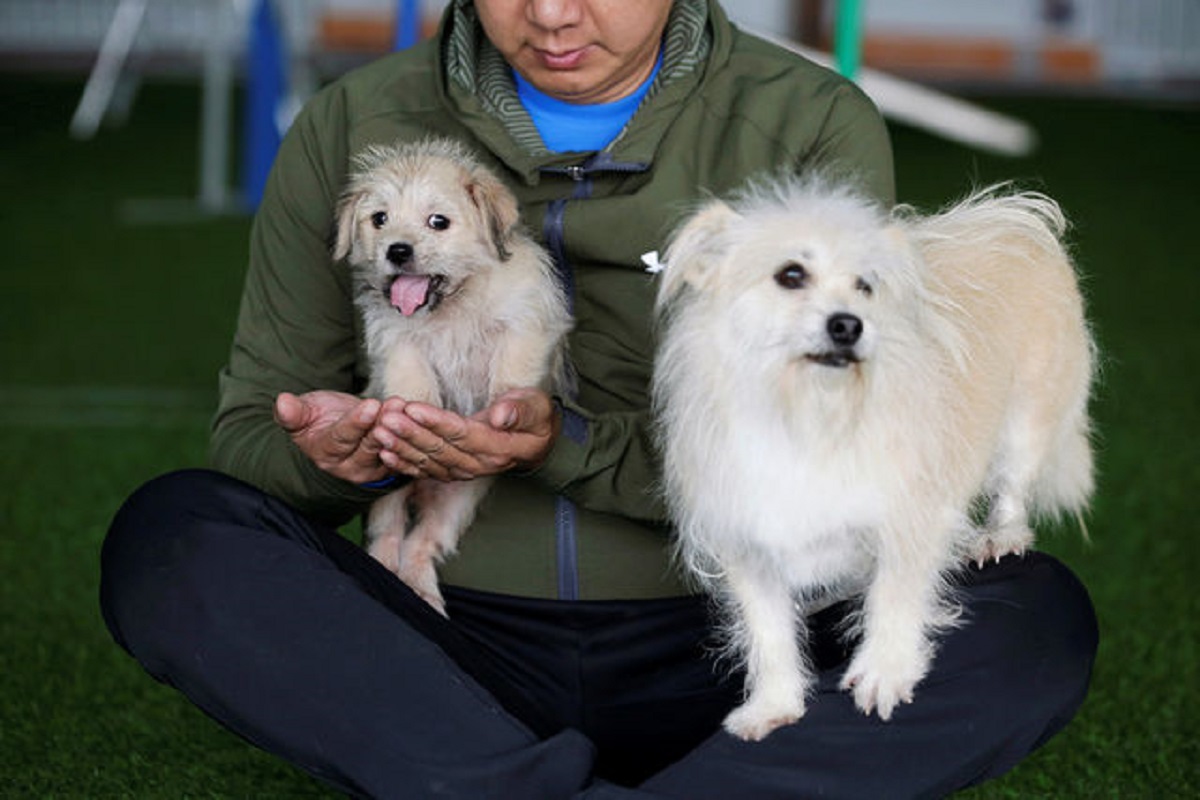 Chinese Dog Cloning Company is CLONING movie star Doglopedix