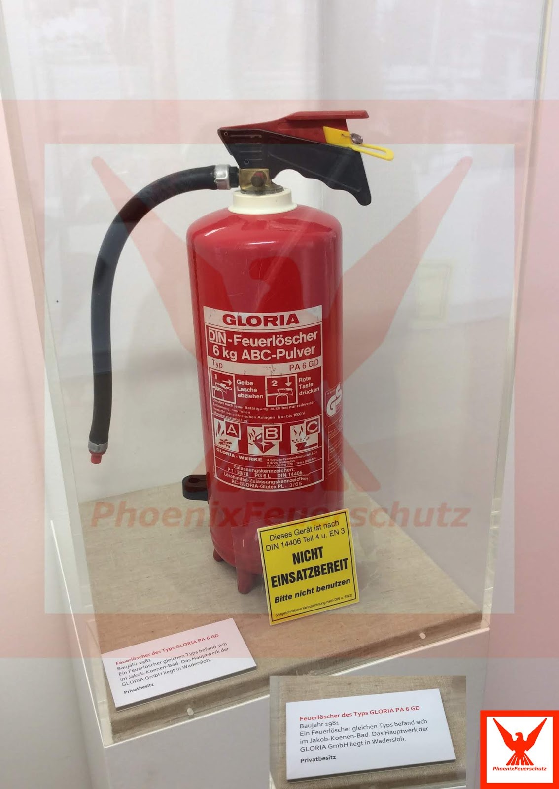 M S Personal Trainer Galerie