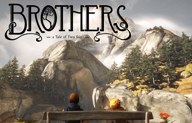 brothers playstation 3