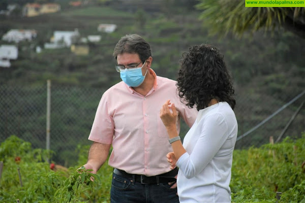 Agricultura promueve el consumo de los productos palmeros en Navidad