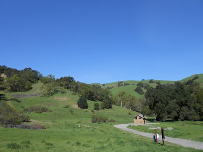 green hills, blue sky, briones regional park