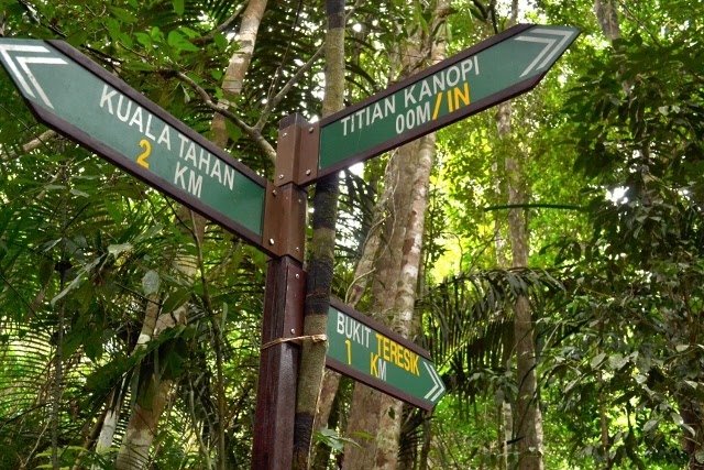 Taman Negara Bukit Lambir / budak bakong: Siasat kes sampai aku ke