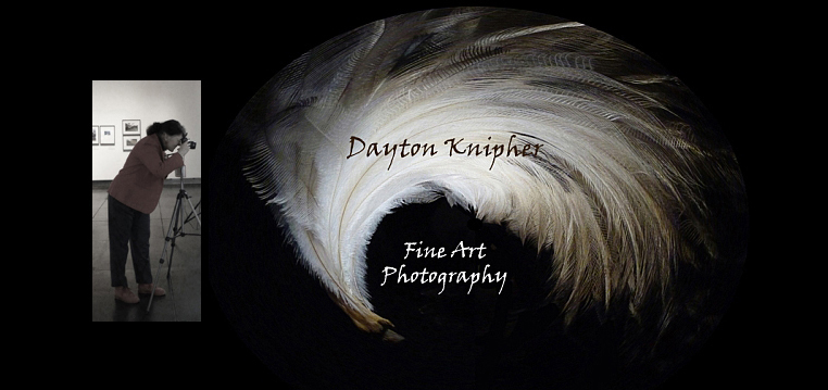 Dayton Knipher Fine Art Photography