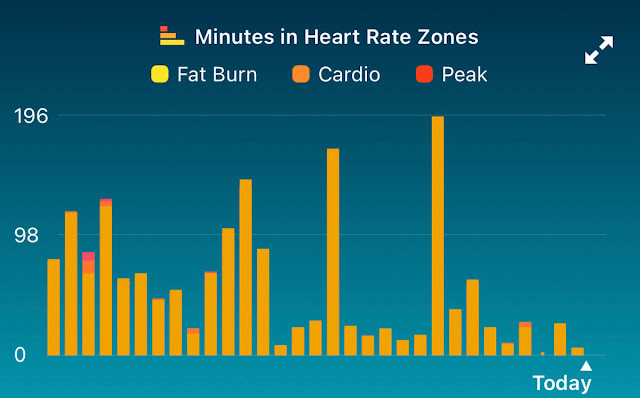 Fitbit Health And Fitness Scores And Stats Explained