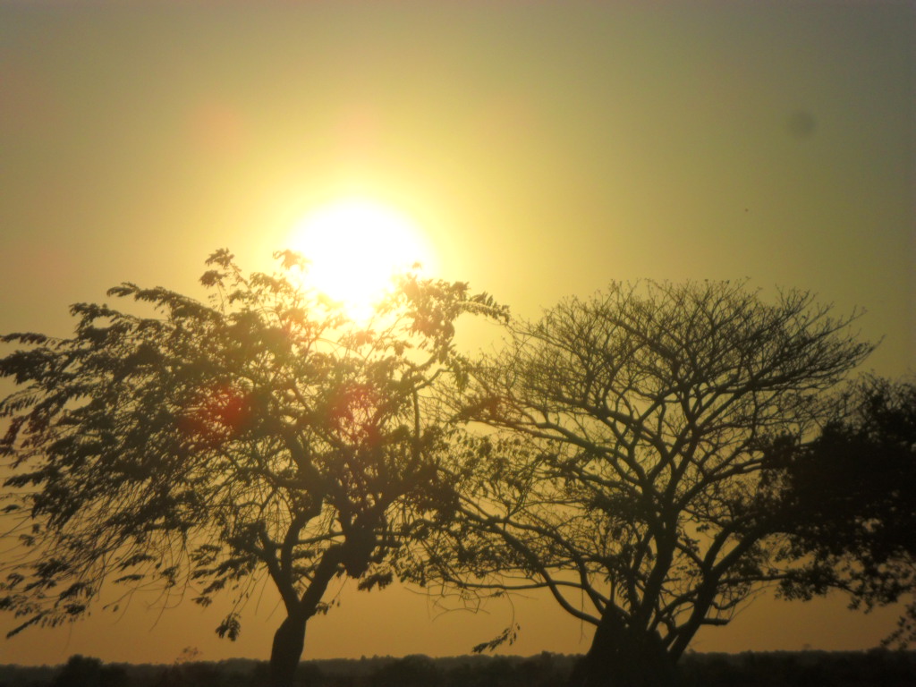 PESCA DEPORTIVA santa rosalia vichada