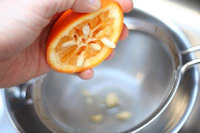 How to germinate orange seeds: 13 steps with pictures 