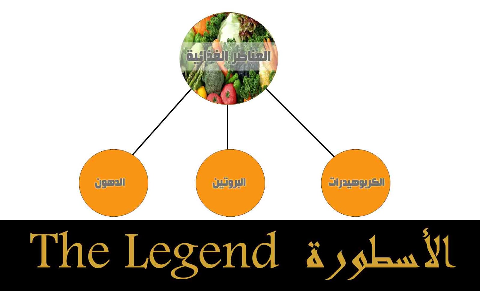 معلومات عن العناصر الغذائية الاساسية