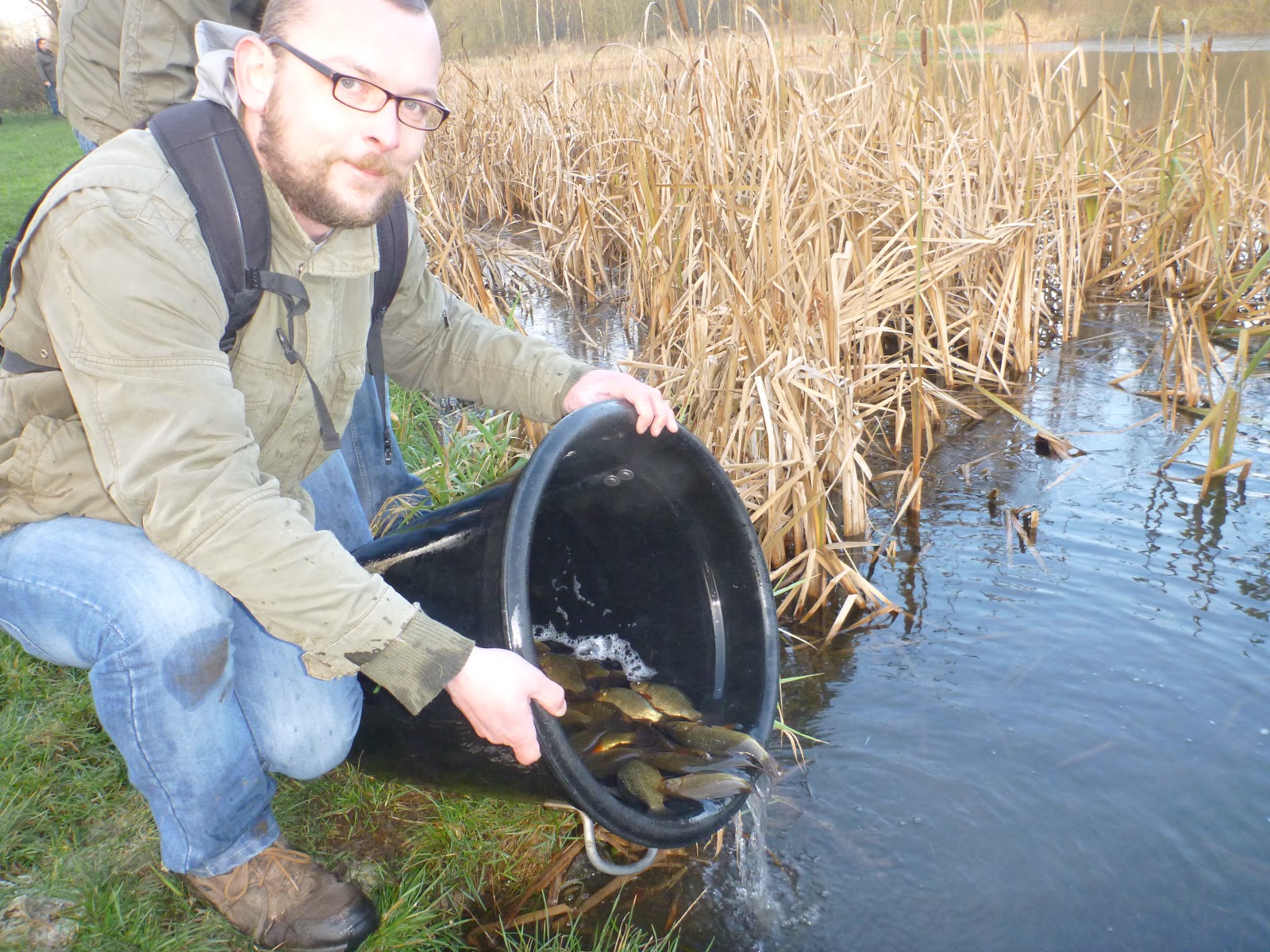 Salford Friendly Anglers Society News Blog: Restocking Drinkwater Park ...