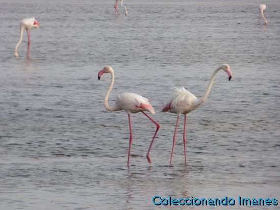 Recorrido - Namibia en luna de miel (1)