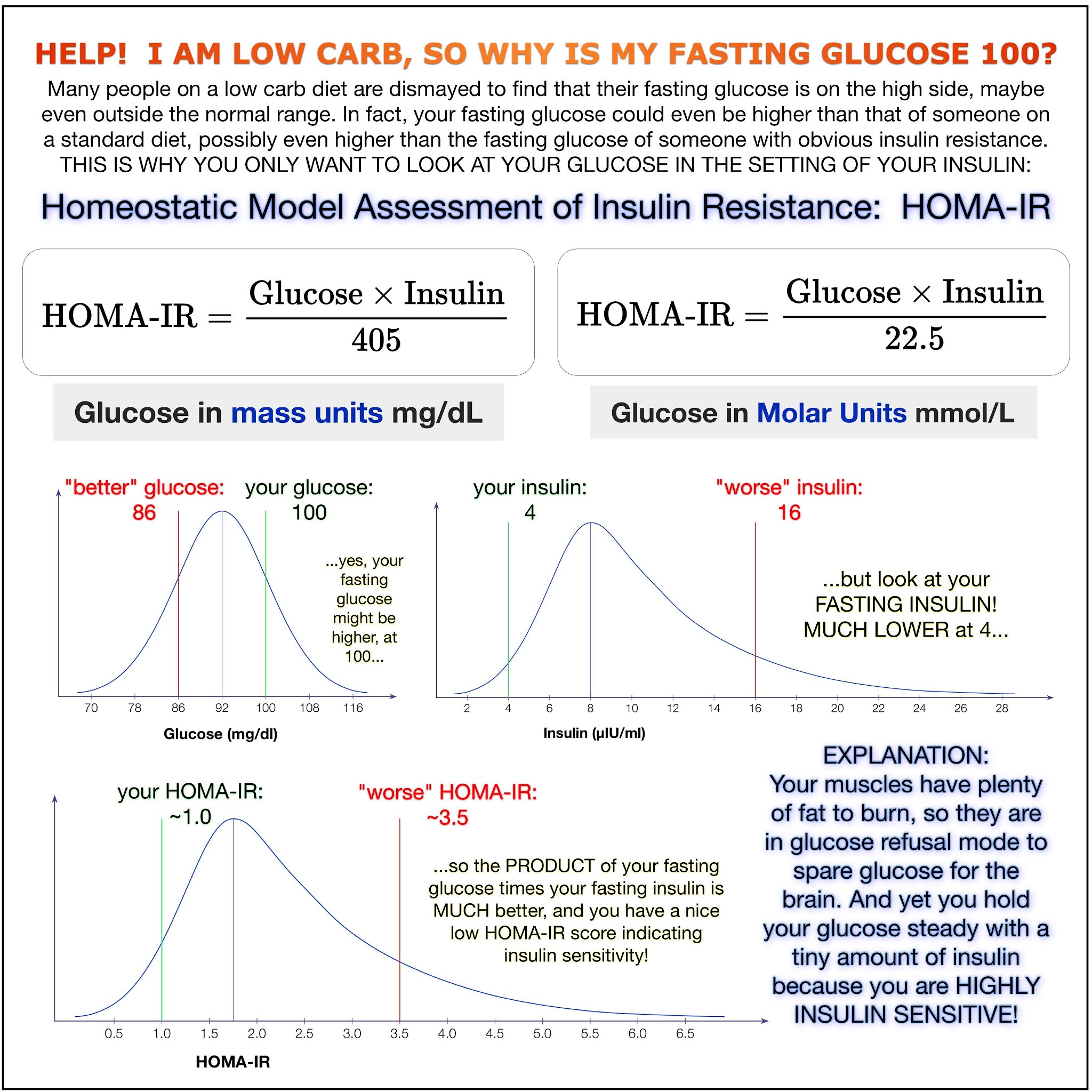 Фаст инсулин. Homa (the homeostatic model Assessment) норма. Уровень Глюкозы на кето диете. Homeostatic model Assessment норма. Уровень сахара в крови кето.