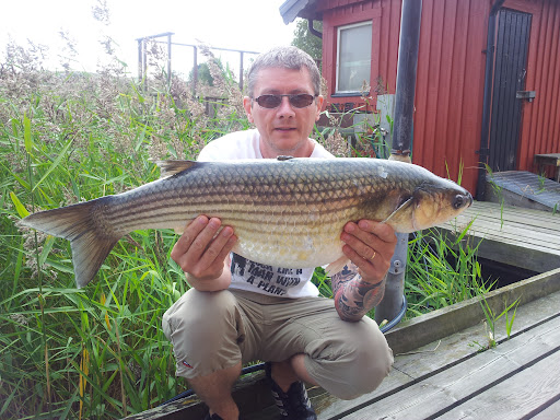 Svenskt rekord Tjockläppad Multe 6,596 Kg 120819