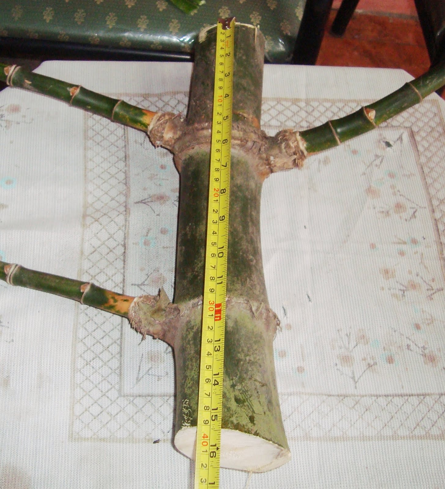 Lapak Barang Jadoel (LBJ) Bambu Patel Lele/ Temu Ros