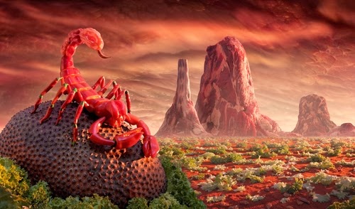 22-Red-Hot-Chilli-Scorpion-Foodscapes-British-Photographer-Carl-Warner-Food- Vegetables-Fruit-Meat-www-designstack-co