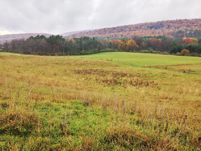 PA Environment Digest Blog: Western PA Conservancy, Centre County