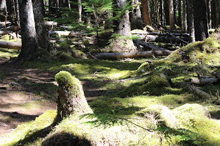 Cycle Haida Gwaii