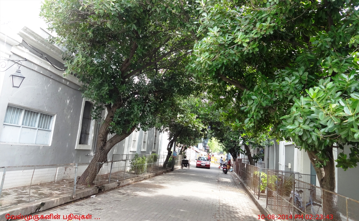 Pondicherry Beach Street