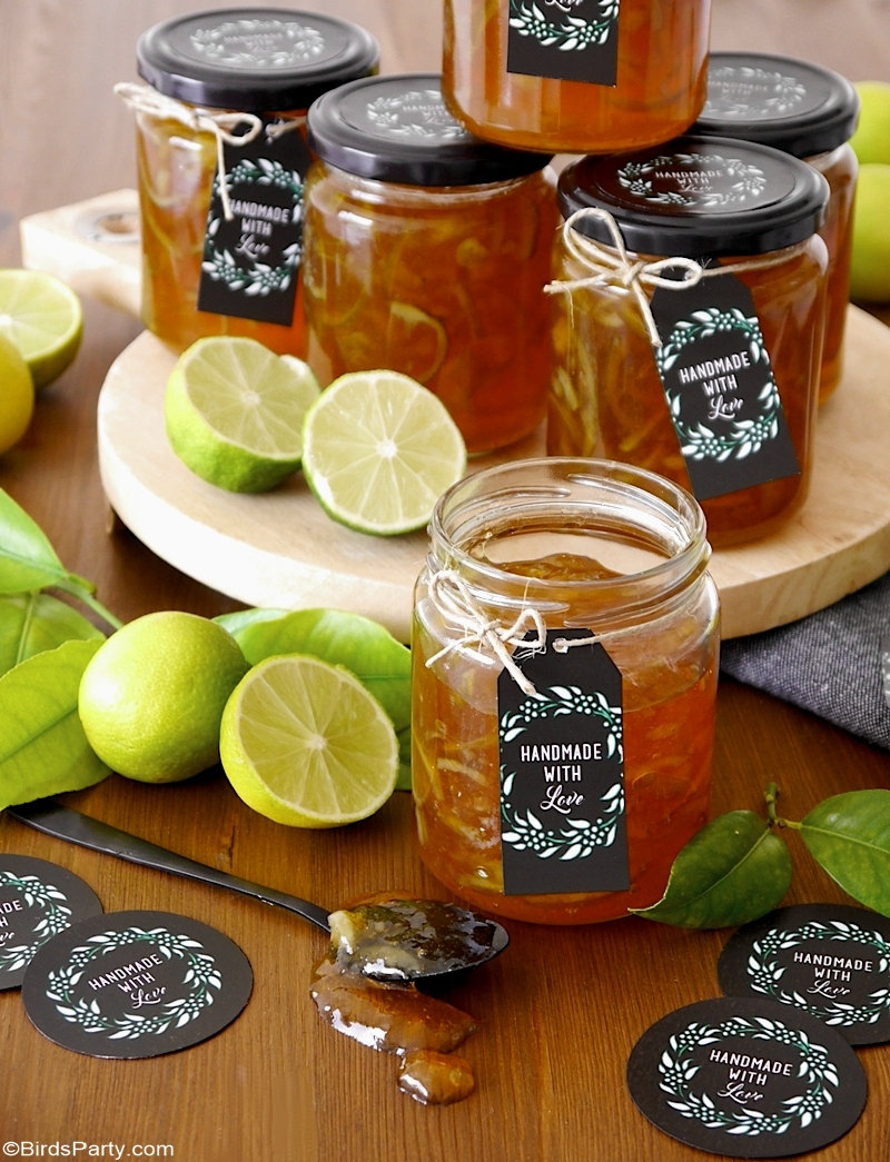 Homemade Lime Marmalade Recipe & Printable Gift Tags - easy and inexpensive, edible Christmas gift idea, perfect for hampers or a Holiday cheese board! by BirdsParty.com @birdsparty #marmelade #limes #limemarmelade #citrusrecipe #recipe #ediblegifts #christmashamper #christmasgifts #handmadegifts #homemadegifts #ediblechristmasgifts