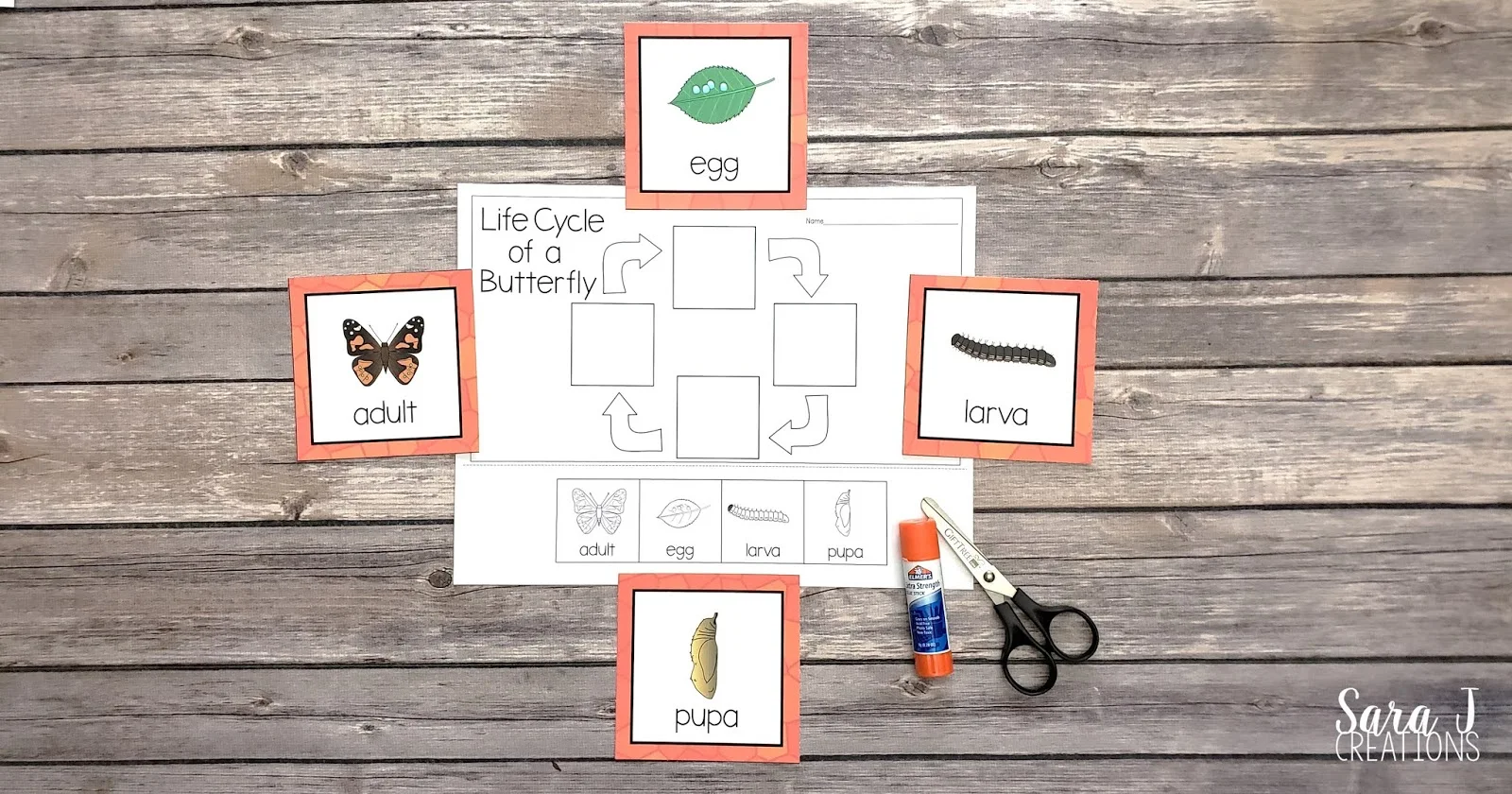 Learn about the life cycle of a butterfly with these free printables! Practice sequencing the life cycle with these cards and then complete a cut and glue activity.