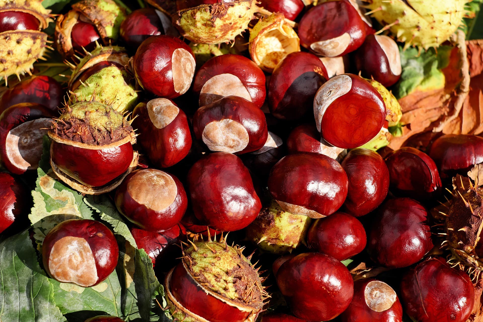 8. Chestnuts