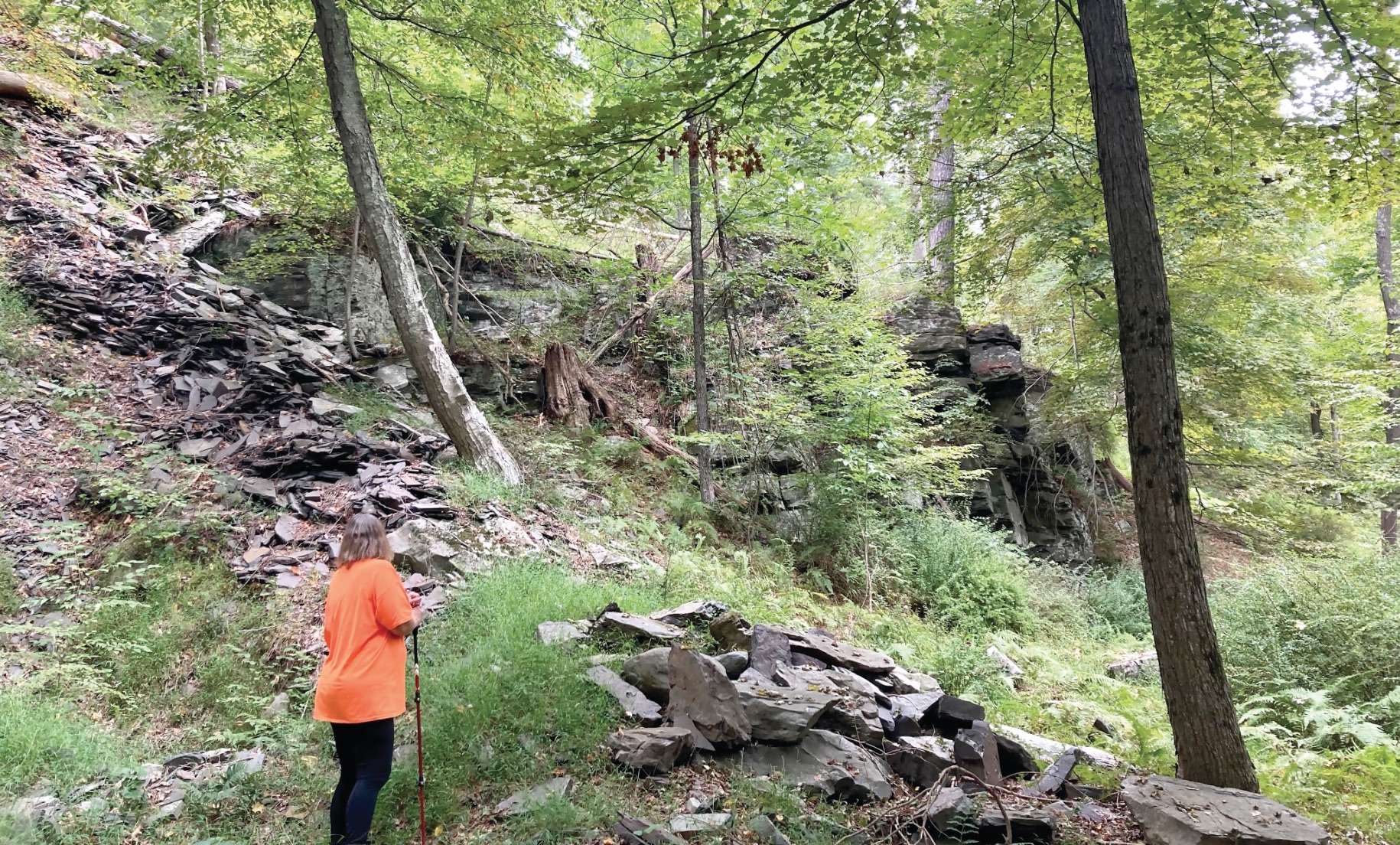 PA Environment Digest Blog Brodhead Watershed Assn Get A Little Lost