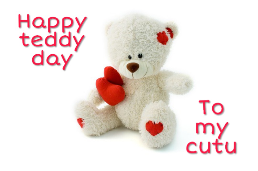 Happy teddy day images Happy teddy day images