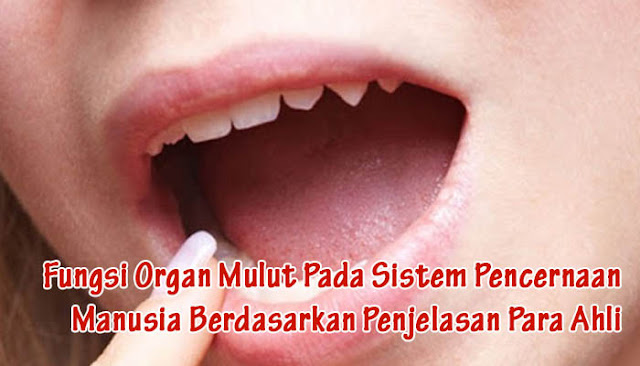 Dunia Edukasi: IPA