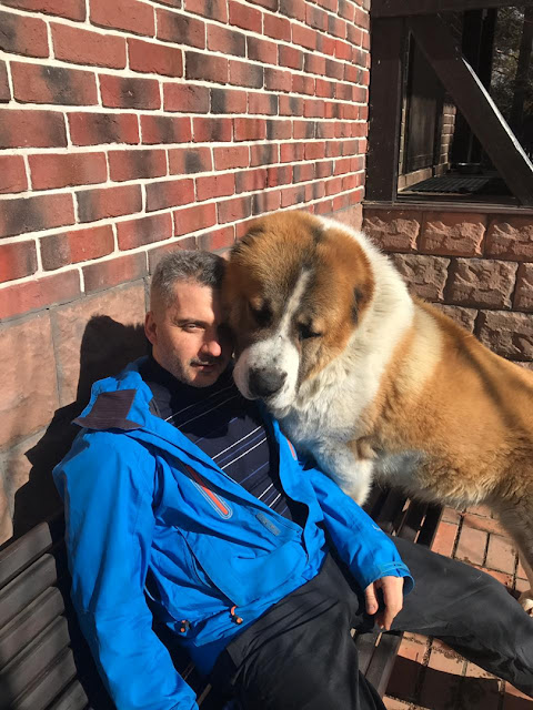 %25D0%25B1%25D0%25BE%25D0%25B1%25D1%258B%25D0%25BB%25D0%25B5%25D0%25B21 Бобылев соловей что случилось